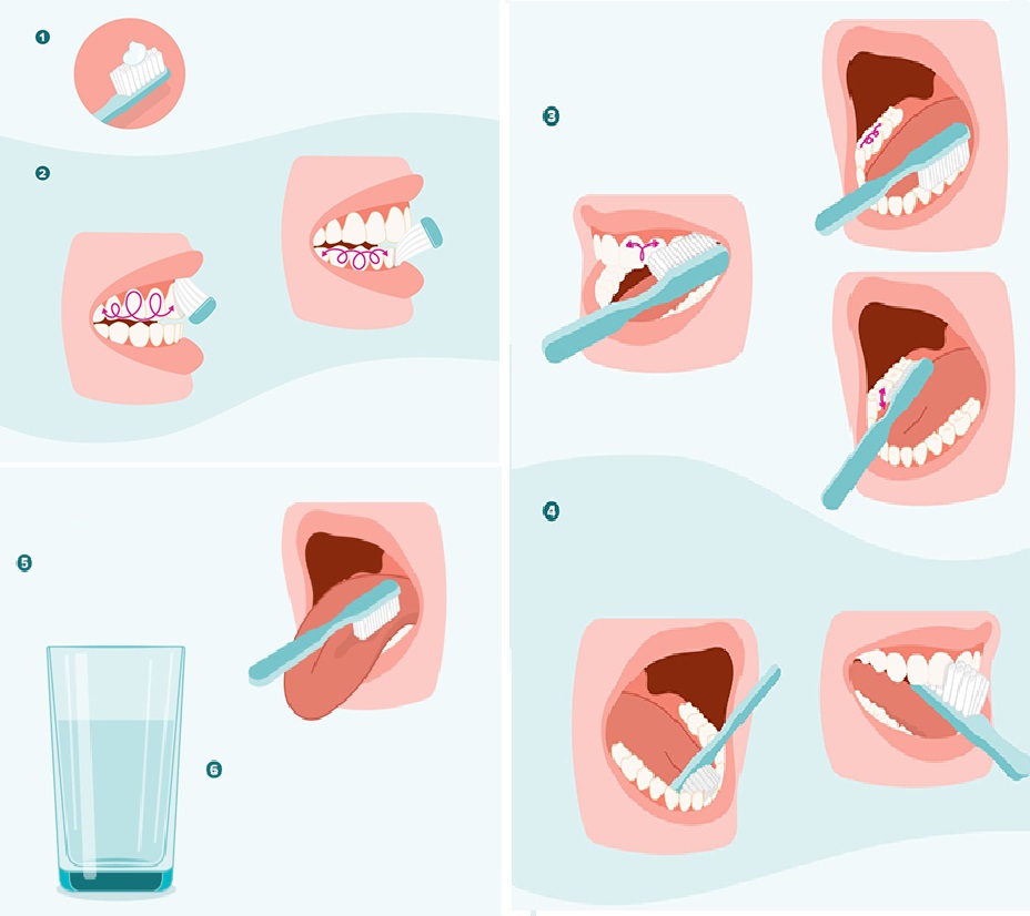 نحوه مسواک زدن صحیح
