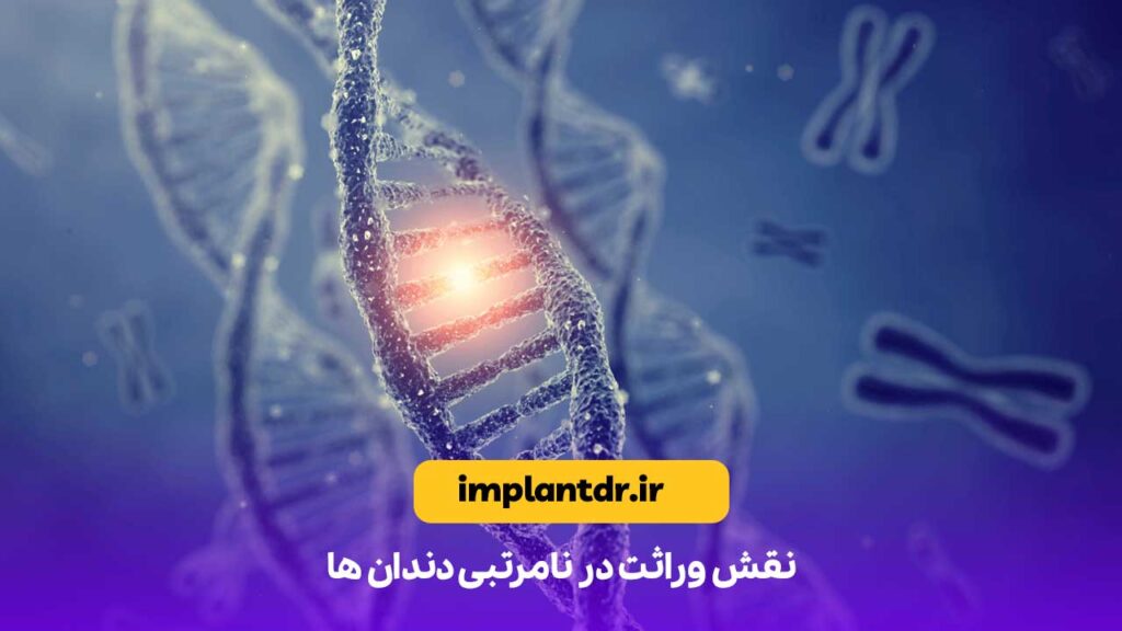 نقش وراثت در نامرتبی دندان ها